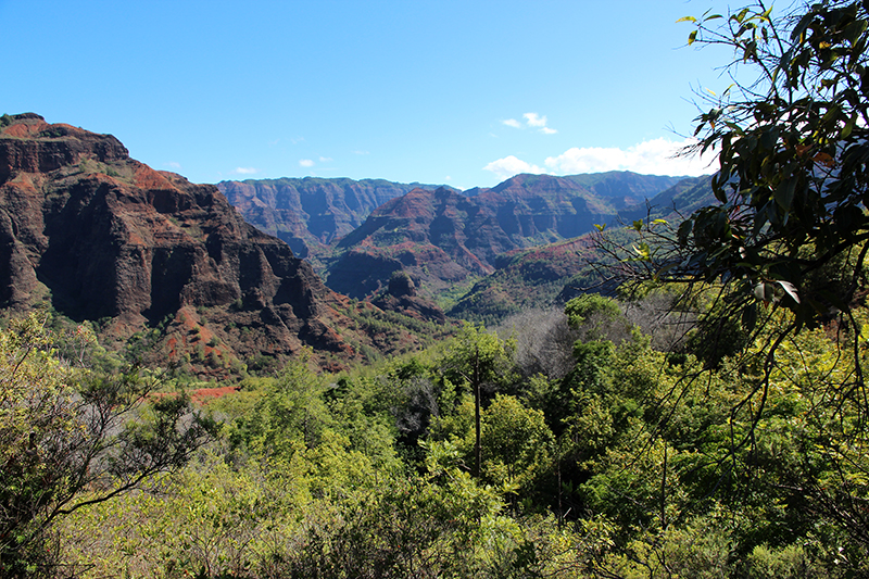 Waimea Canyon Kauai