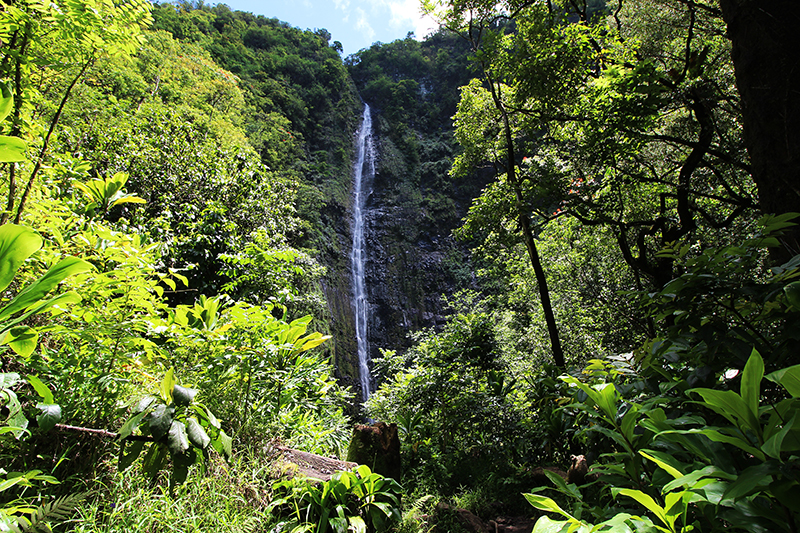 Waimoku Falls