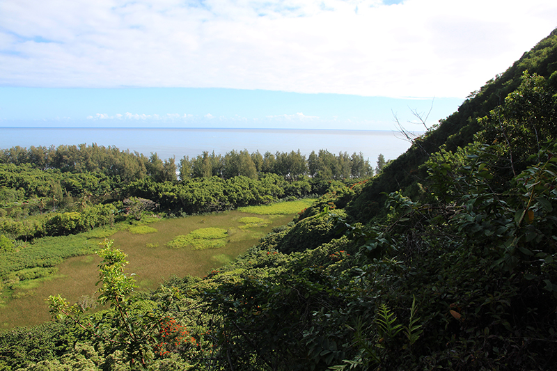 Waipio Valley big island hawaii