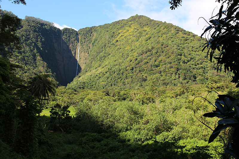 Waipio Valley big island hawaii