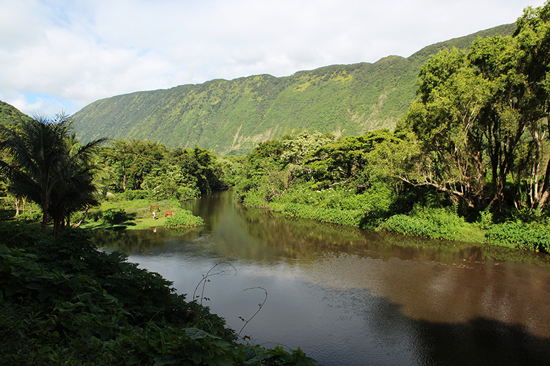 Waipio Valley big island hawaii