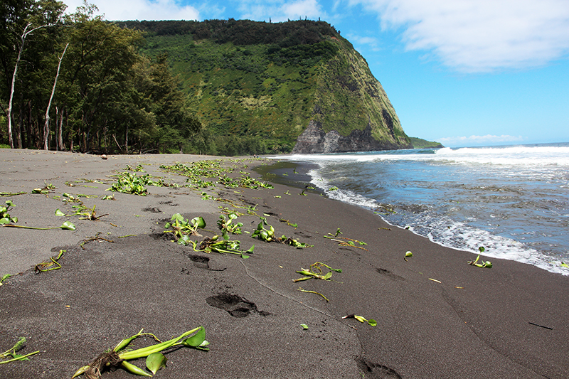 Waipio Valley