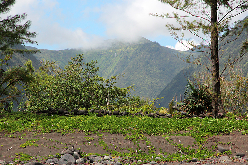 Waipio Valley big island hawaii