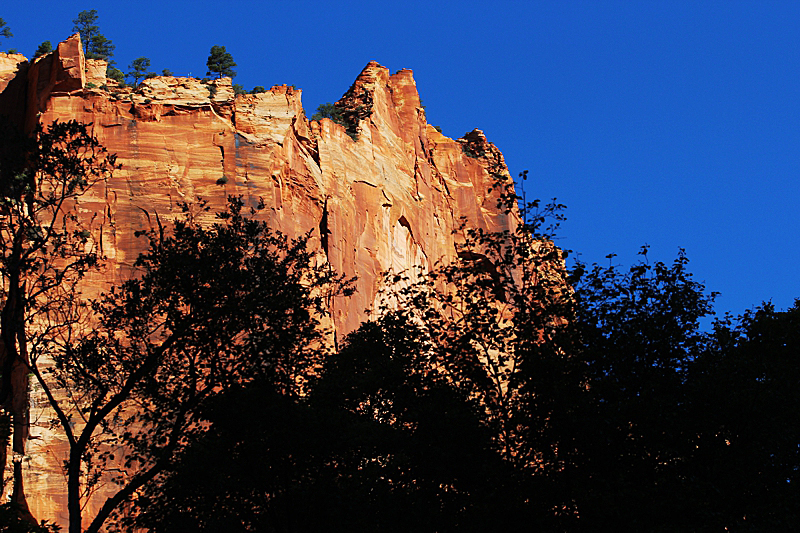 Water Canyon [Canaan Mountain]