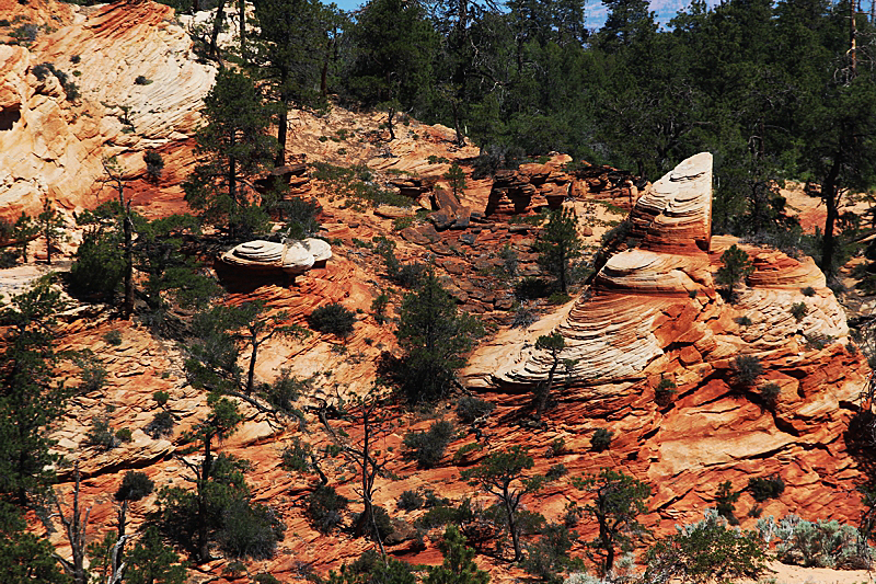 Water Canyon [Canaan Mountain]