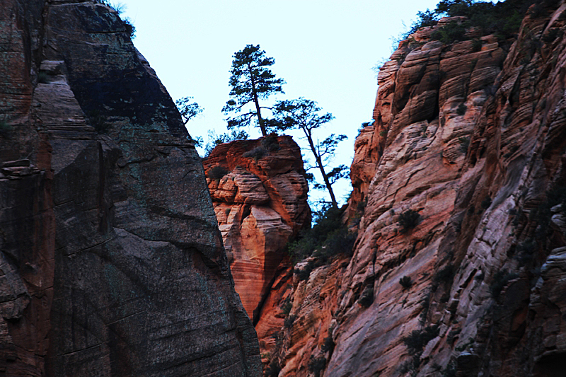 Water Canyon [Canaan Mountain]