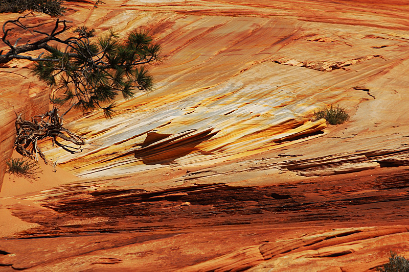 Water Canyon [Canaan Mountain]