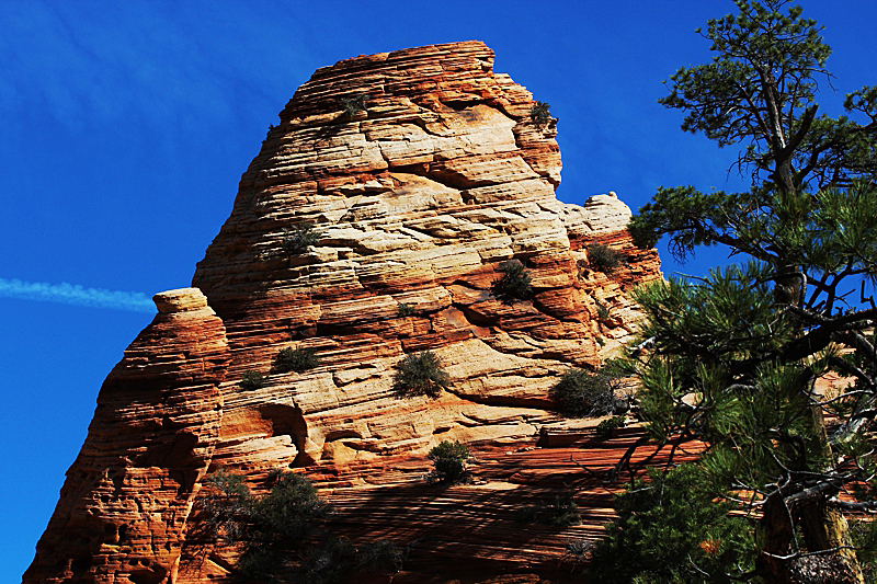 Water Canyon [Canaan Mountain]