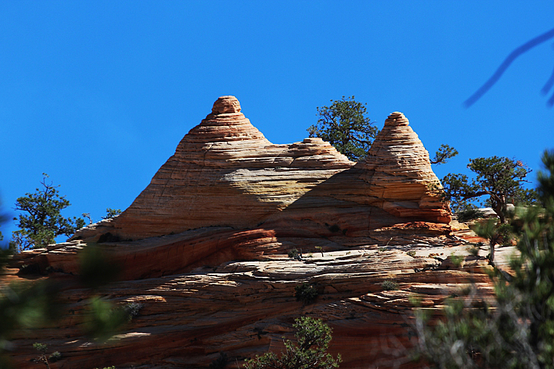 Water Canyon [Canaan Mountain]