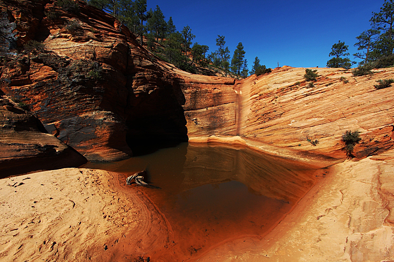 Water Canyon [Canaan Mountain]