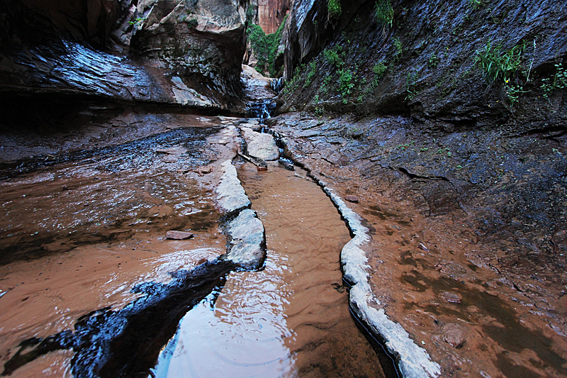 Water Canyon [Canaan Mountain]