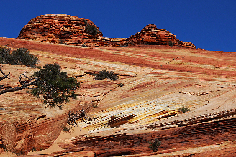 Water Canyon [Canaan Mountain]