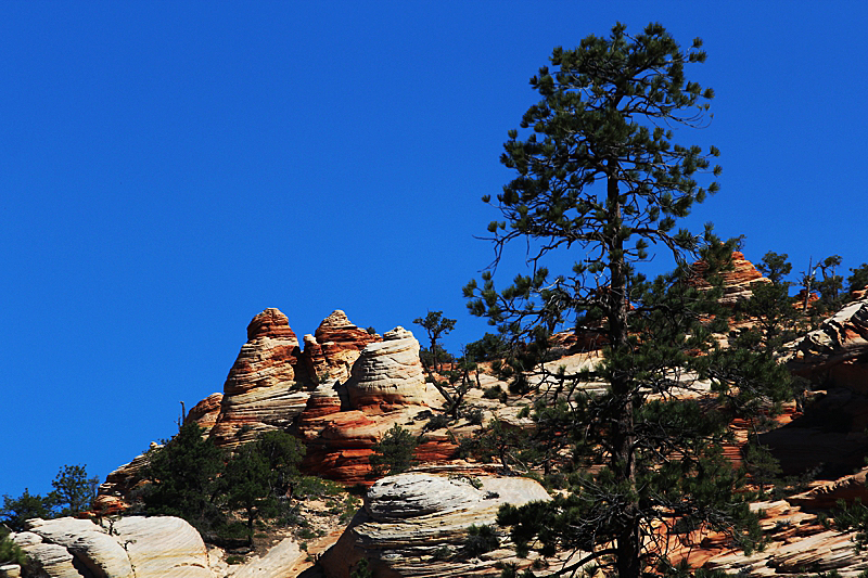 Water Canyon [Canaan Mountain]