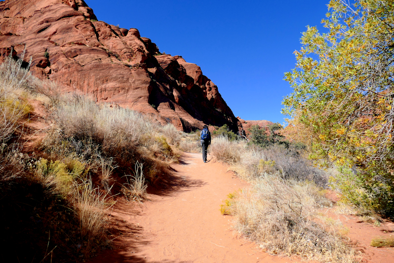 Water Creek Canyon [Red Cliffs Recreation Area - Dixie National Forest]