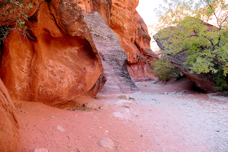 Water Creek Canyon [Red Cliffs Recreation Area - Dixie National Forest]