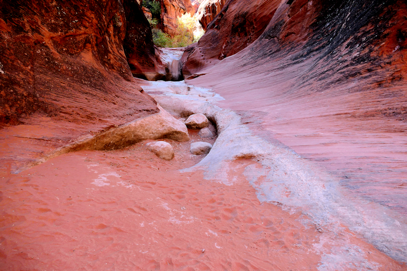 USA Hiking Database: Water Creek Canyon [Red Cliffs Recreation Area - Dixie National Forest]