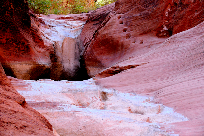 Water Creek Canyon [Red Cliffs Recreation Area - Dixie National Forest]