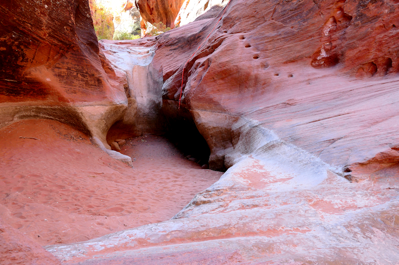 Water Creek Canyon [Red Cliffs Recreation Area - Dixie National Forest]