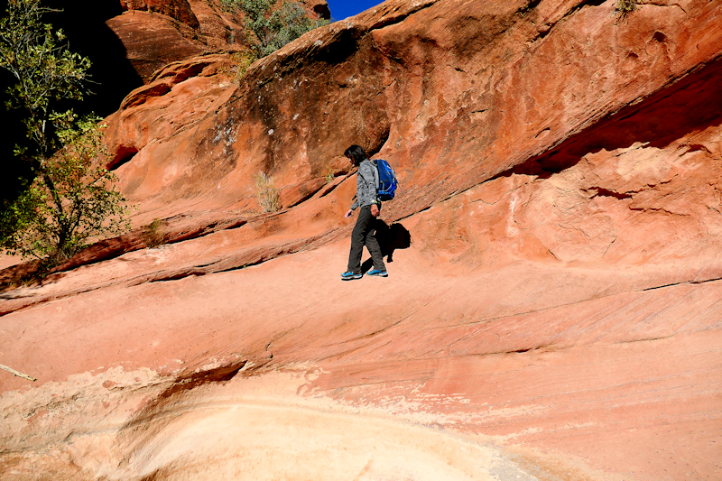 USA Hiking Database: Water Creek Canyon [Red Cliffs Recreation Area - Dixie National Forest]