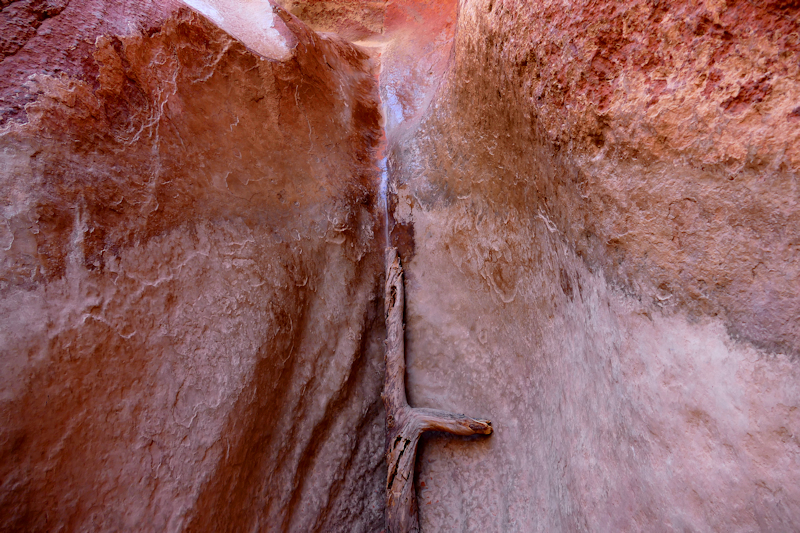 Water Creek Canyon [Red Cliffs Recreation Area - Dixie National Forest]