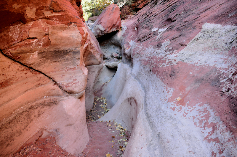 Water Creek Canyon [Red Cliffs Recreation Area - Dixie National Forest]