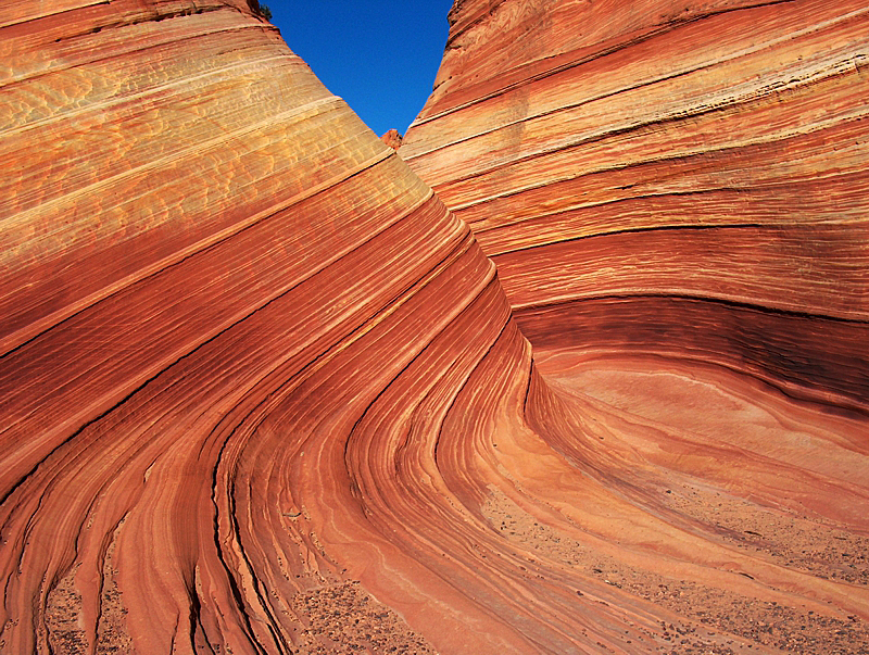 The Wave in Coyote Buttes North