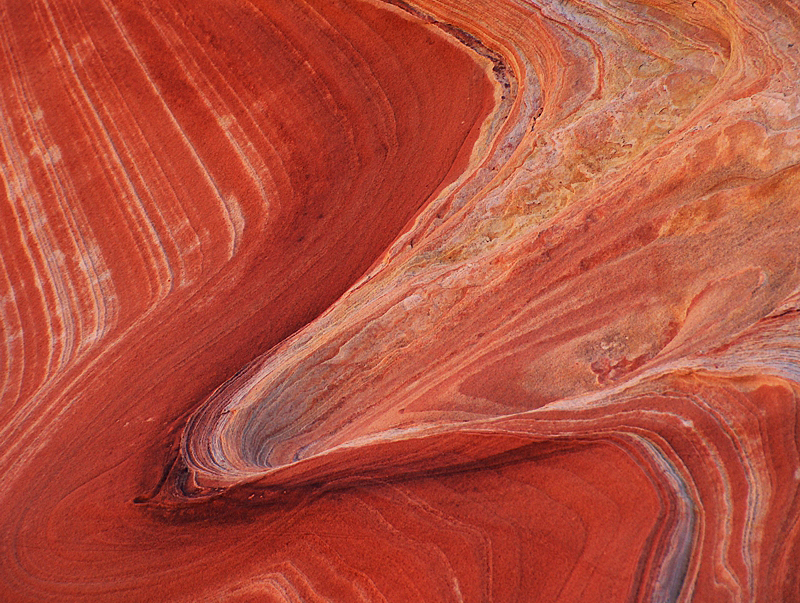 The Wave in Coyote Buttes North