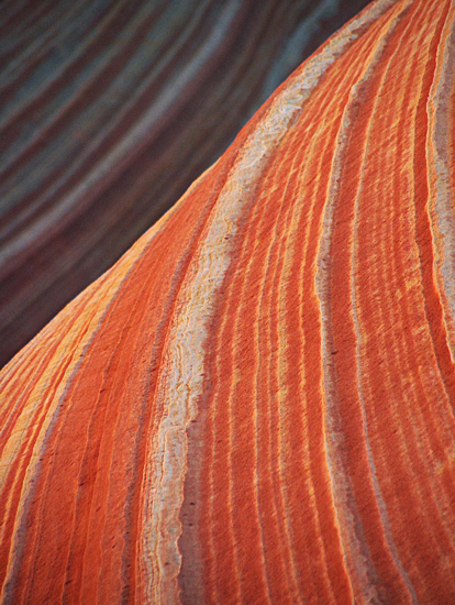 The Wave in Coyote Buttes North