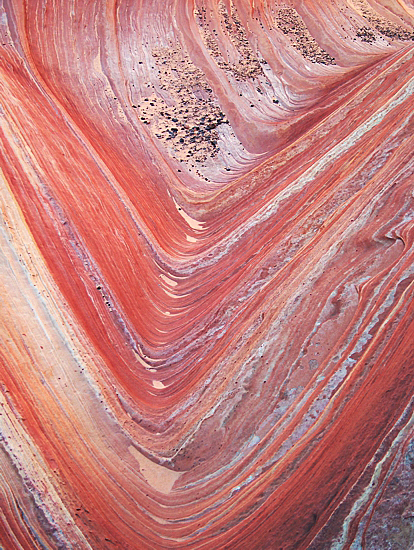 The Wave in Coyote Buttes North