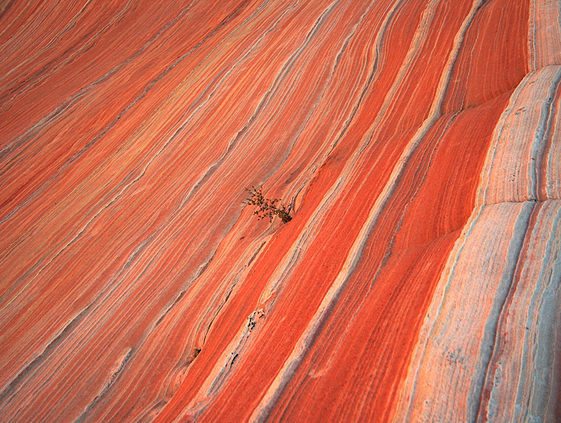 Wave and 2nd Wave - Coyote Buttes North, Arizona