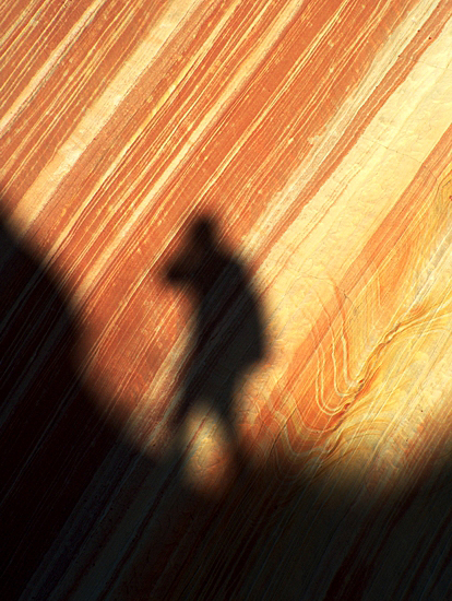 The Wave in Coyote Buttes North