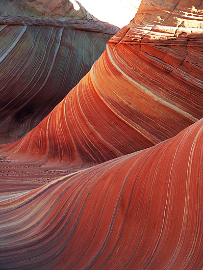 The Wave in Coyote Buttes North