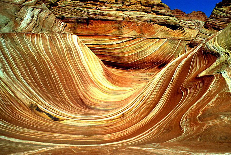 The Wave in Coyote Buttes North