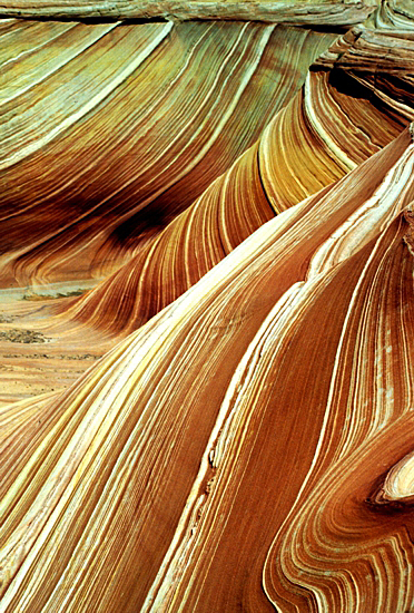 The Wave in Coyote Buttes North