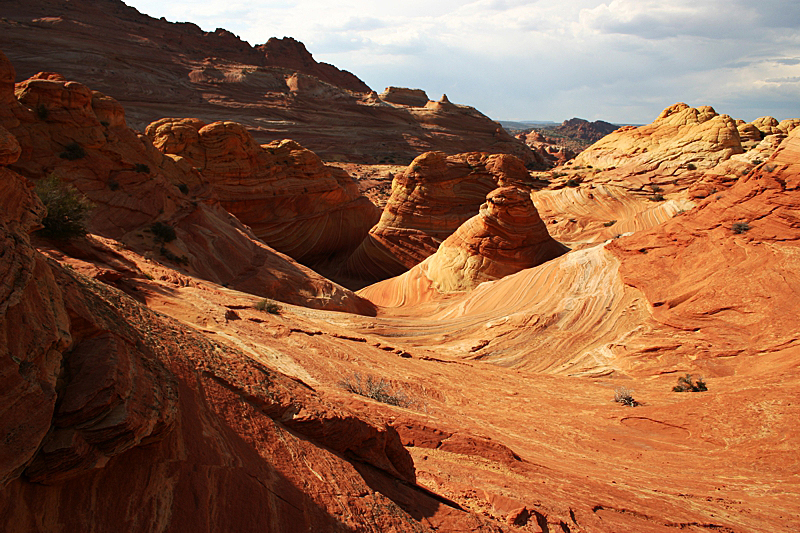 The Wave in Coyote Buttes North