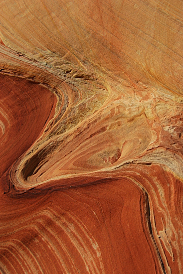 The Wave in Coyote Buttes North