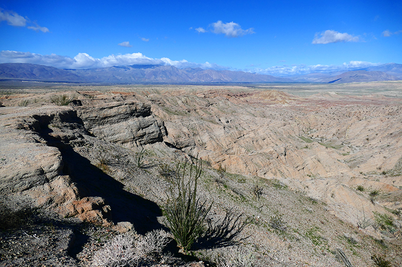 West Butte [Anza Borrego State Park]