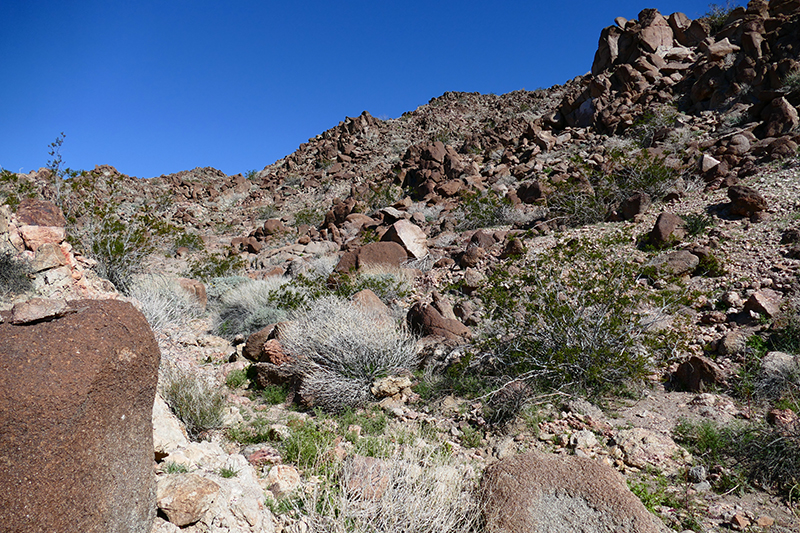 West Butte [Anza Borrego State Park]