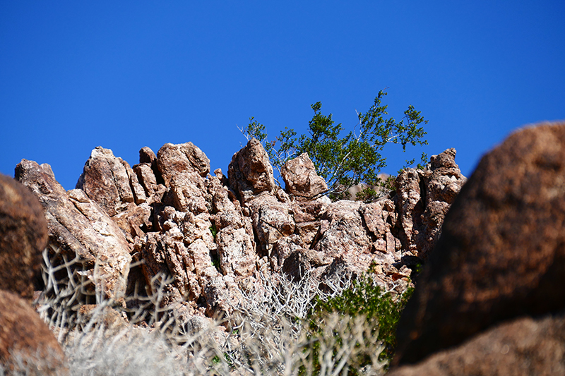 West Butte [Anza Borrego State Park]