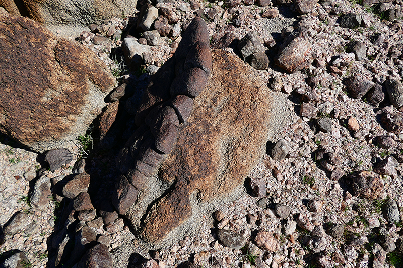 West Butte [Anza Borrego State Park]