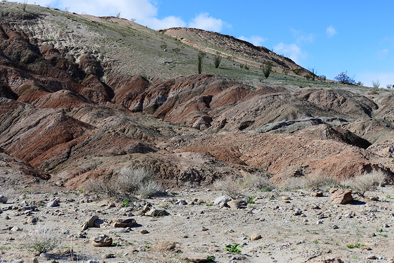 West Butte [Anza Borrego State Park]