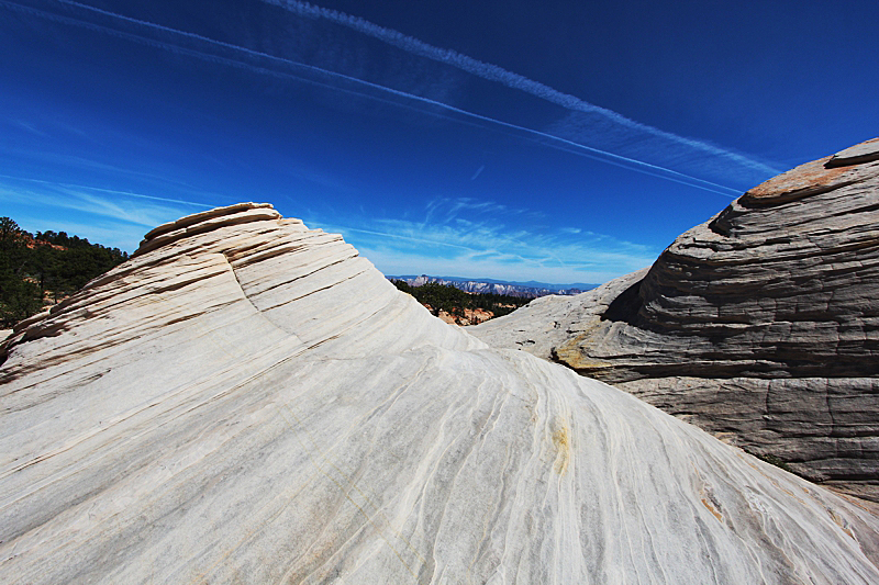 White Domes Canaan Mountain Sommer [Canaan Mountain]