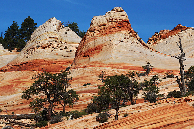 Water Canyon [Canaan Mountain]