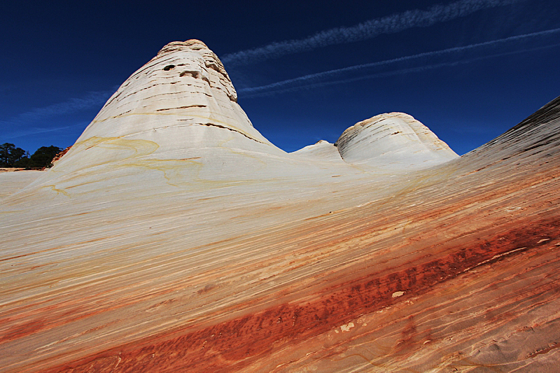 White Domes Canaan Mountain Sommer [Canaan Mountain]