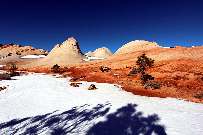 White Domes [Canaan Mountain] - Roundtrip: Squirrel Creek und Water Canyon