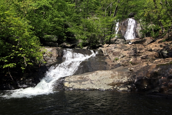 White Oak Canyon und Cedar Run Falls [Shenandoah National Park]