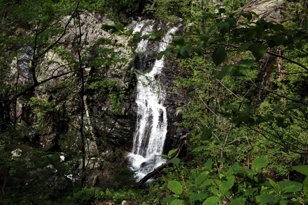 White Oak Canyon und Cedar Run Falls [Shenandoah National Park]