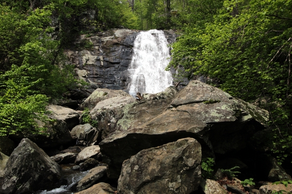 White Oak Canyon und Cedar Run Falls [Shenandoah National Park]