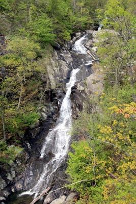 White Oak Canyon und Cedar Run Falls [Shenandoah National Park]