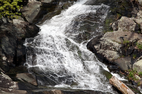 White Oak Canyon und Cedar Run Falls [Shenandoah National Park]